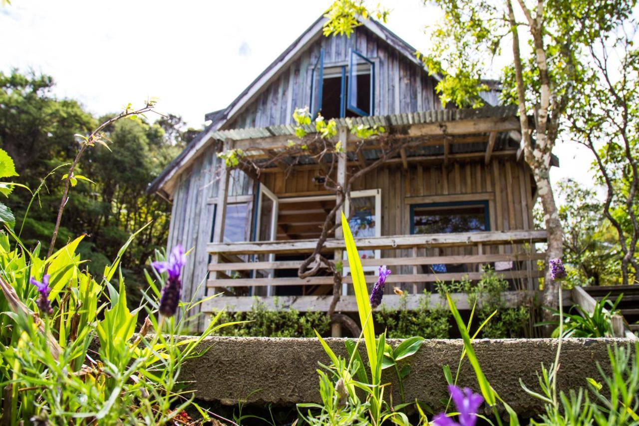 Fern Lodge Coromandel Luaran gambar
